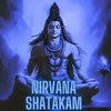 About Nirvana Shatakam Song