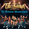 About El Ritmo Mamalón Song