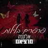 About פרפרים בלילות Song