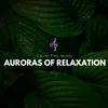 Soothing Aurora