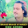 About Brage Brage Stargey Song