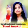 About Tumi Anukul Song