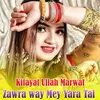 About Zawra Way Mey Yara Tal Song
