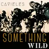 About Something Wild Song