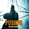 About Pushpa Song