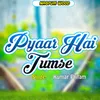 About Pyaar Hai Tumse Song