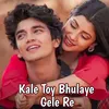 About Kale Toy Bhulaye Gele Re Song