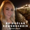 Bu Dağlar Kömürdendir