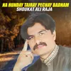 About Na Hunday Tairay Pechay Badnam Song