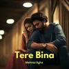 About Tere Bina Song