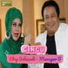 About Gincu Song