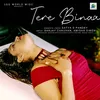 About TERE BINAa Song