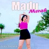 About Madu Merah Song