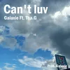 About Can't luv Song