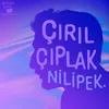 About Çırılçıplak Song