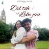 About Dil Toh Leke Jaa Song