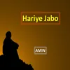 About Hariye Jabo Song