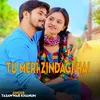 About Tu Meri Zindagi Hai Song