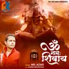 About Om Naman Shivay Song