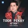 Toor Pekay Attan