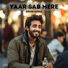 About Yaar Sab Mere Song