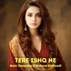 About Tere Ishq Ne Song