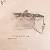 About אני מחפש אותך Song