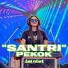 About Santri Pekok Song