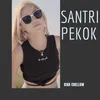 Santri Pekok