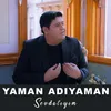 About Sevdalıyım Song