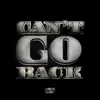 About Can't Go Back Song