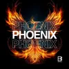 About Phoenix Song