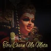 About Tore Charn Ma Mata Song