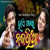 About Hai Tor Najaria Song