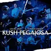 About Kush Pegajosa Song