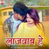 About Lajawab He Song