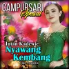 Nyawang Kembang