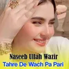 About Tahre De Wach Pa Pari Song