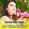 Jar Ware Shirini