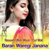About Baran Waregi Janana Song