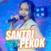 About Santri Pekok Song