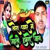 About Tora Pyar Me Jaito Hamro Jaan Song