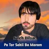 About Pa Tor Sakil Ba Maram Song