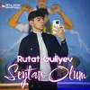 About Şeytan olum Song