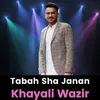 About Tabah Sha Janan Song