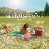About Seviyo Sevmiyo Song