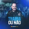 About Trairia ou Não Song