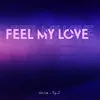 About Feel My Love Song