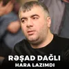 About Hara Lazımdı Song