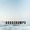 About Goosebumps Song